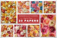 Ranunculus Flowers Digital Paper Bundle Product Image 1