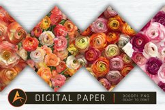 Ranunculus Flowers Digital Paper Product Image 1