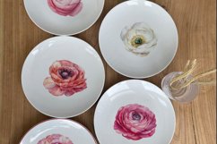 Ranunculus clipart, Watercolor floral clipart Product Image 5