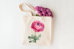 Ranunculus clipart, Watercolor floral clipart Product Image 6