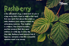 Rashberry Product Image 5