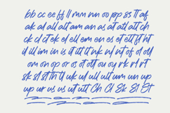 Rashing Skystand Handwritten Brush Font Product Image 9