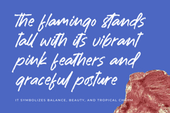Rashing Skystand Handwritten Brush Font Product Image 10