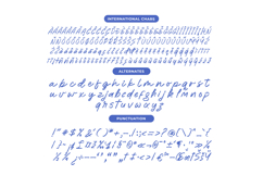 Rashing Skystand Handwritten Brush Font Product Image 13