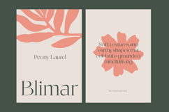 Raslera - Thin Sans Serif Display Product Image 12