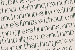 Raslera - Thin Sans Serif Display Product Image 15