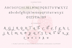 Raspberry Garden Serif Product Image 10