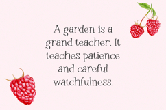 Raspberry Garden Serif Product Image 6