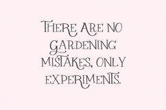 Raspberry Garden Serif Product Image 7