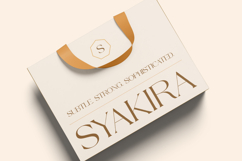 Rasther - Luxury serif font Product Image 5