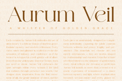 Rasther - Luxury serif font Product Image 6