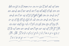 Ratinel Boldies - Handwritten Ink Font Product Image 13