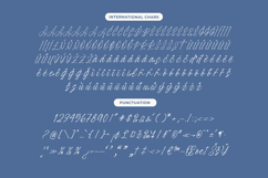 Ratinel Boldies - Handwritten Ink Font Product Image 14