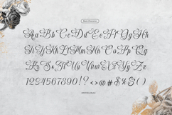 Raufendry | Beauty Calligraphy Script Product Image 9