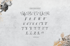 Raufendry | Beauty Calligraphy Script Product Image 11