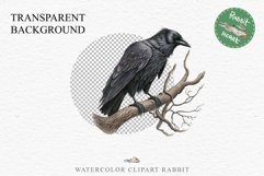 Raven Birds Clipart Savanna PNG Nursery Art Scrapbooking Image Watercolor Transparent Print invitation t-shirt designs sublimation printable digital watercolor cute Raven birds, Safari birds bird clipart, sublimation nursery drawing Savanna