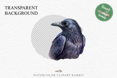 Raven Birds Clipart Savanna PNG Nursery Art Scrapbooking Image Watercolor Transparent Print invitation t-shirt designs sublimation printable digital watercolor cute Raven birds, Safari birds bird clipart, sublimation nursery drawing Savanna