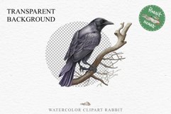 Raven Birds Clipart Savanna PNG Nursery Art Scrapbooking Image Watercolor Transparent Print invitation t-shirt designs sublimation printable digital watercolor cute Raven birds, Safari birds bird clipart, sublimation nursery drawing Savanna