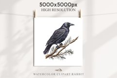 Raven Birds Clipart Savanna PNG Nursery Art Scrapbooking Image Watercolor Transparent Print invitation t-shirt designs sublimation printable digital watercolor cute Raven birds, Safari birds bird clipart, sublimation nursery drawing Savanna