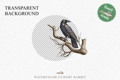 Raven Birds Clipart Savanna PNG Nursery Art Scrapbooking Image Watercolor Transparent Print invitation t-shirt designs sublimation printable digital watercolor cute Raven birds, Safari birds bird clipart, sublimation nursery drawing Savanna