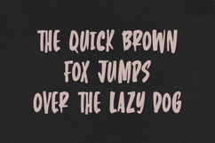 Raven Handwritten Display Font Product Image 5