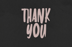 Raven Handwritten Display Font Product Image 6