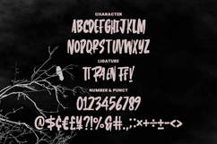 Raven Handwritten Display Font Product Image 7