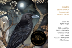 The Crystal Raven Illustration Product Image 4