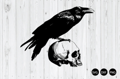 Raven On Skull SVG, Crow On Skull SVG, Raven Skull SVG Product Image 1