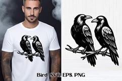 Funny raven SVG design | Bird SVG | Raven silhouette SVG Product Image 1