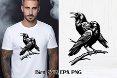 Funny raven SVG design | Bird SVG | Raven silhouette SVG Product Image 1