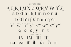 Rayola Serif Font Product Image 10