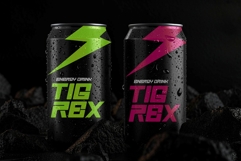 Racing Crime | Modern Futuristic Webfont for Dynamic Website Product Image 4