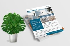 Real Estate Flyer