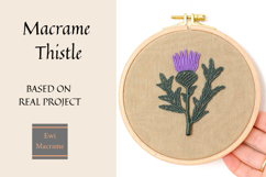 Macrame Thistle PNG Botanical Clipart Product Image 2