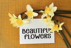 Real Taste Product Image 3