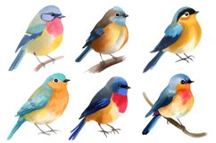 Realistic Watercolor Bird Clipart Bundle, 32 PNG designs Product Image 2