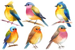 Realistic Watercolor Bird Clipart Bundle, 32 PNG designs Product Image 3