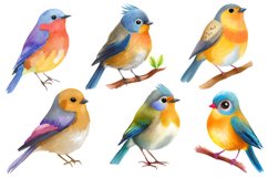 Realistic Watercolor Bird Clipart Bundle, 32 PNG designs Product Image 4