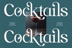 Realistic Nature - Bold Serif Font Product Image 8