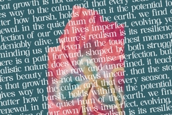 Realistic Nature - Bold Serif Font Product Image 13