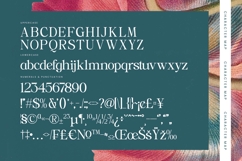 Realistic Nature - Bold Serif Font Product Image 18