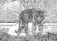 Realistic Pencil Sketch Action Product Image 4