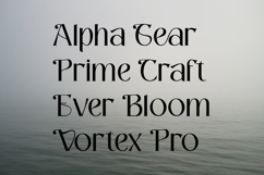 Reamond - Aesthetic Sans Font Product Image 6