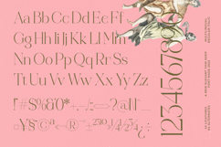 Reaons - Elegant Thin Serif Font Product Image 14
