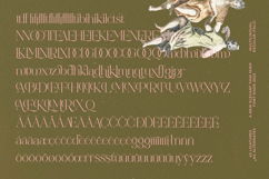 Reaons - Elegant Thin Serif Font Product Image 15