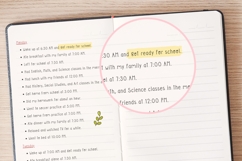 Record Book -Neat Handwritten Font Product Image 4