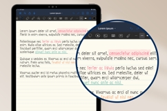 Record Book -Neat Handwritten Font Product Image 5