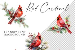 red cardinal christmas clipart watercolor