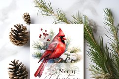 northern cardinal christmas clipart